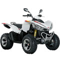 Maxxer 450i OFF / ON Road