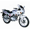 Pulsar 125 [RJ25CB]