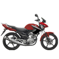 YBR 125 05- RE031