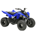 YFM 90 Raptor 09-15 43D