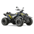 Maxxer 300 S LOF [RFBZ80070] (LA60HE) Z8