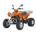 Maxxer 300 Supermoto [RFBL30070] (LA60HD) L3