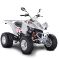 Maxxer 300 Wide ON / OFF Road LOF [RFBZ80060] (LA60FK/FJ] Z8