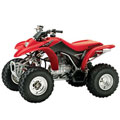 TRX 250 EX / X SportTrax 4T 01-