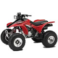 TRX 300 EX / X SporTrax