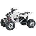 TRX 450 ER / R SporTrax