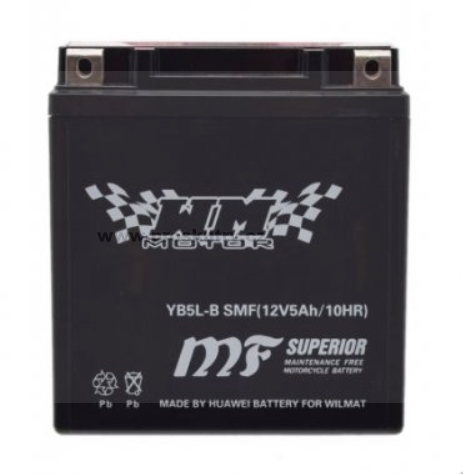 Baterie WM YB5L-B 12V SMF