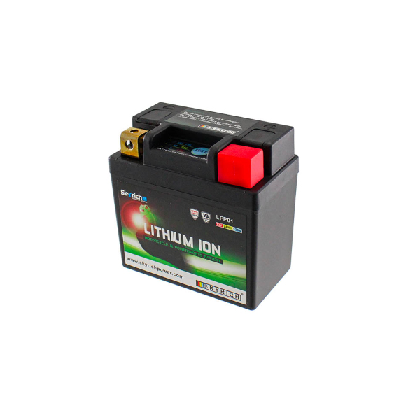 Import Rms - BATTERIA LITIO LFP01