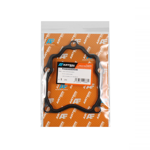 Import Rms - GU.COP.VAL EXAGON GTX 125 4T