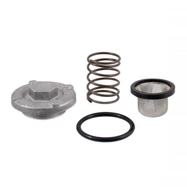 Motor - Zátka olejového filtru se sítkem a pružinou pro Yamaha N-Max 125 ccm