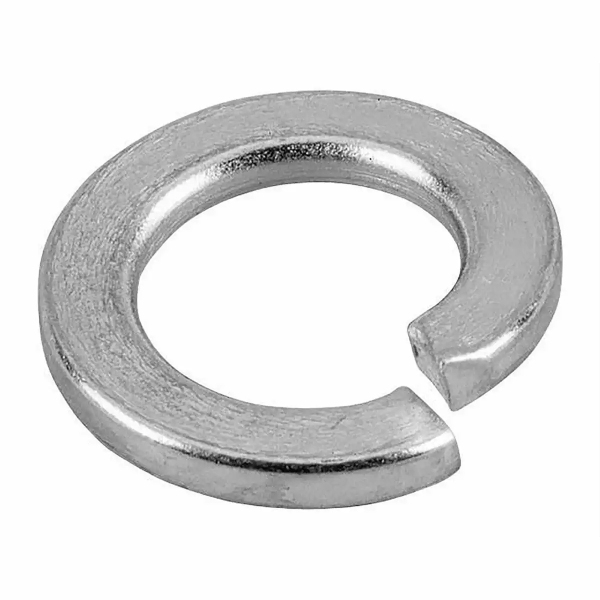 Import Rms - RONDELLE GROWER 10MM