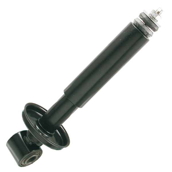 Import Rms - AMM.ANT.APE MPA-MPV-MPM-MPR-MP