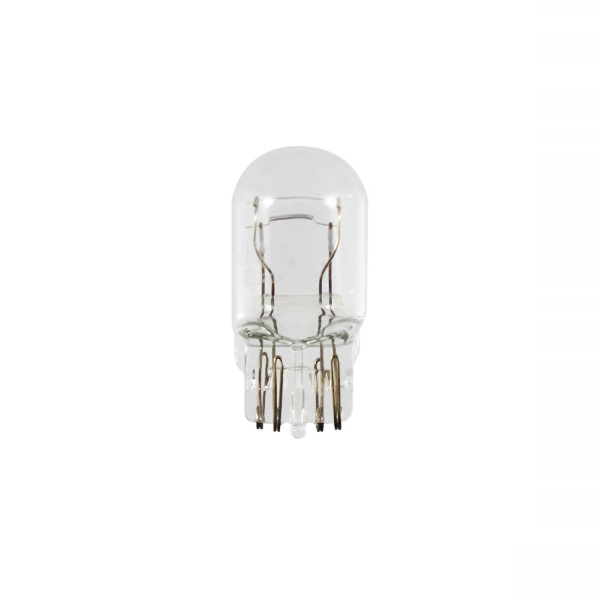 Import Rms - LAMP. BIANCA 12V 21/5W T20