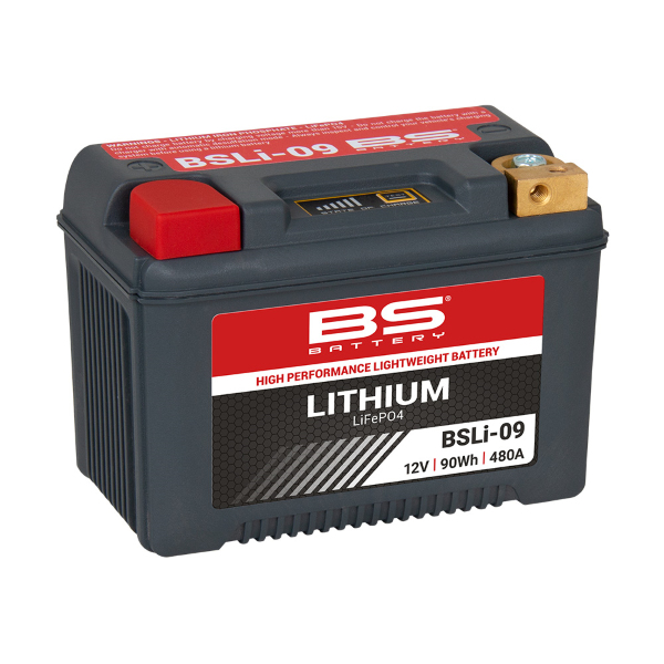 Import Rms - BATTERIA LITIO BSLi-09