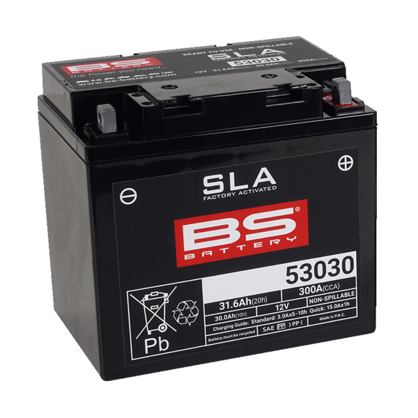 Import Rms - BATTERIA BS SLA 53030