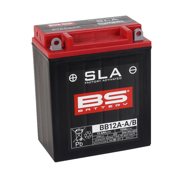 Import Rms - BATTERIA BS SLA BB12A-A2