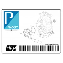 Central cover of license plate support