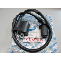 Zapalovací cívka pro CF Moto/Linhai 500ccm 0180-152000