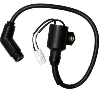 Zapalovací cívka Polaris Sportsman Hawkeye 300 3089910, 3089860