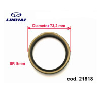 těsnění McPherson Linhai 260 300 21818