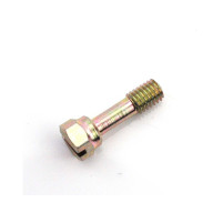 Šroub pro upevňovací šroub karburátoru Bing z oceli 40 mm pro Zweirad Union typ 1/14/96, Kreidler Florett 1/14/99, Puch DS 50, MC VZ 50 V, 40-614.