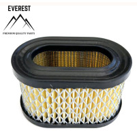 VZDUCHOVÝ FILTR BRIGGS&STRATTON QUANTUM NÍZKÝ EVEREST