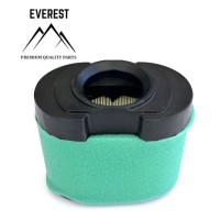 VZDUCHOVÝ FILTR BRIGGS&STRATTON 2 VÁLCE  OHV NOVÝ TYP EVEREST