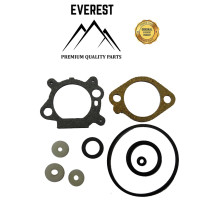 SADA TĚSNĚNÍ BRIGGS&STRATTON QUANTUM EVEREST