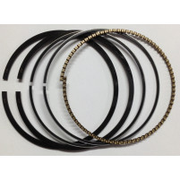 KROUŽKY BRIGGS&STRATTON QUANTUM 790360, 791098