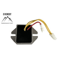 REGULÁTOR NAPĚTÍ BRIGGS&STRATTON 10-16 AMP EVEREST