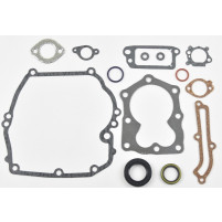 SADA TĚSNĚNÍ BRIGGS&STRATTON QUANTUM