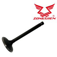 Sací ventil ZONGSHEN GB420