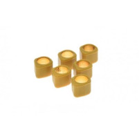 Válečky variátoru 16x13 mm 4,5 g 6 kusů D-tvar