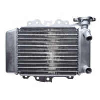 Chladič pro Honda SH 125/150ccm 2001-2004