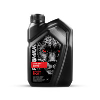 Motorový olej 5w40 SN/SM/CF 1L
