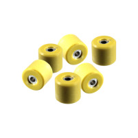Válečky variátoru 19x17 10g   6ks