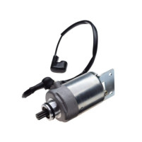 Elektrický startér pro Polaris Phoenix 200 – 9 zubů, 0453024, 0454948