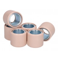 Válečky variátoru OEM  25x22 - 28,00g - 6 kusů
