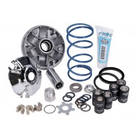 Variomatic Polini Hi-Speed ​​​​Evolution 2 16mm, 12,5° pro Piaggio